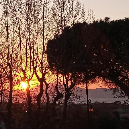 Il Platano Piano di Sorrento