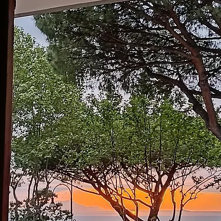 Il Platano Couette-café