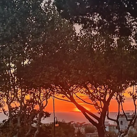 Il Platano Couette-café Piano di Sorrento