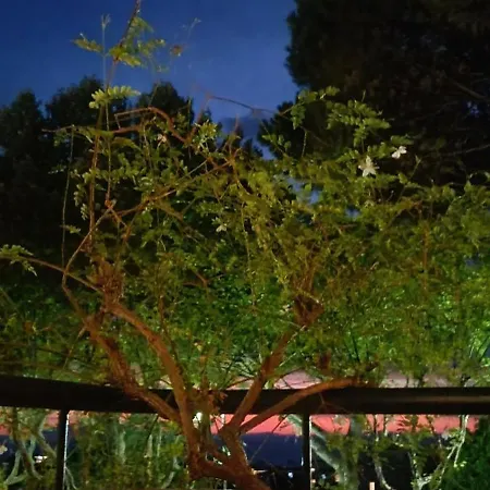 Il Platano Couette-café