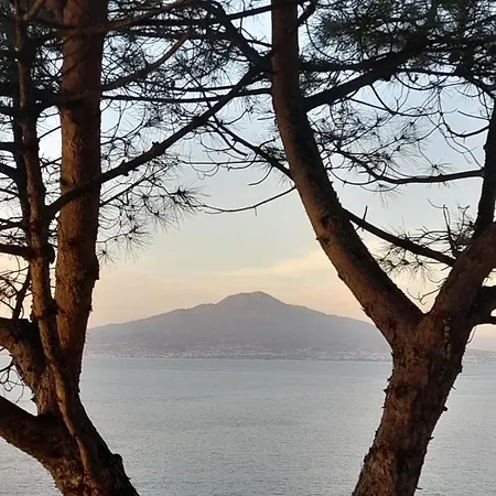Il Platano Bed & Breakfast Piano di Sorrento
